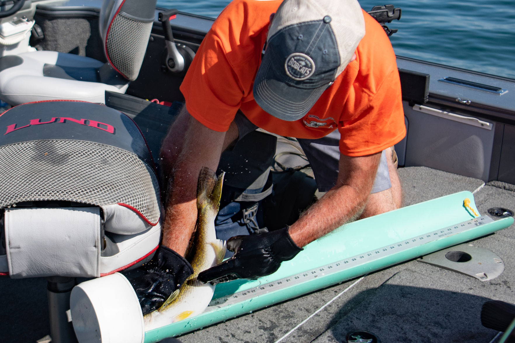 Governor's Cup Walleye Tournament